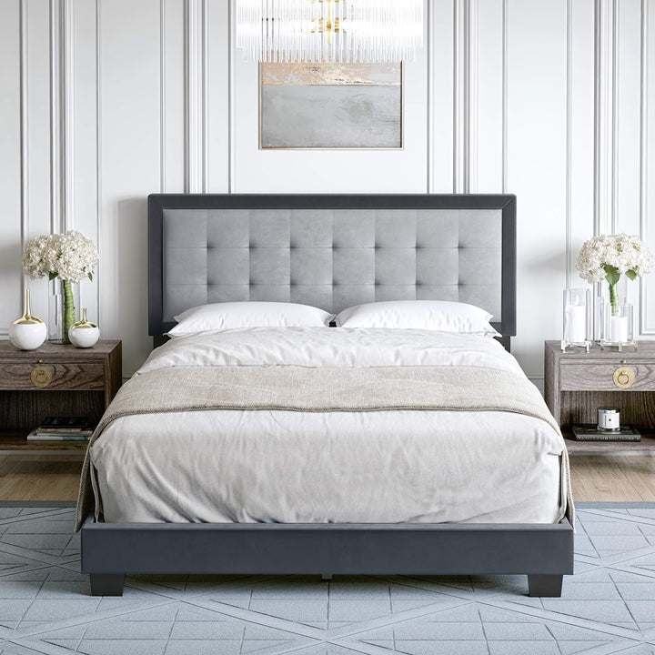 Boyd Sleep Pisa Upholstered Button Tufted Platform Bed Frame Mattress Foundation Grey - Queen - Diamond Home USA