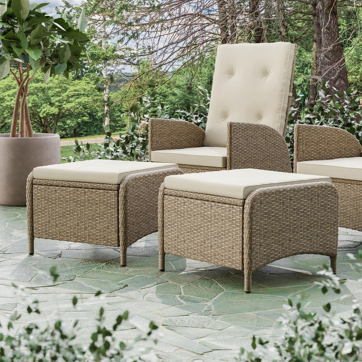Greemotion Garda 2-Piece Outdoor Patio Aluminum Polyrattan Wicker Outdoor - Diamond Home USA