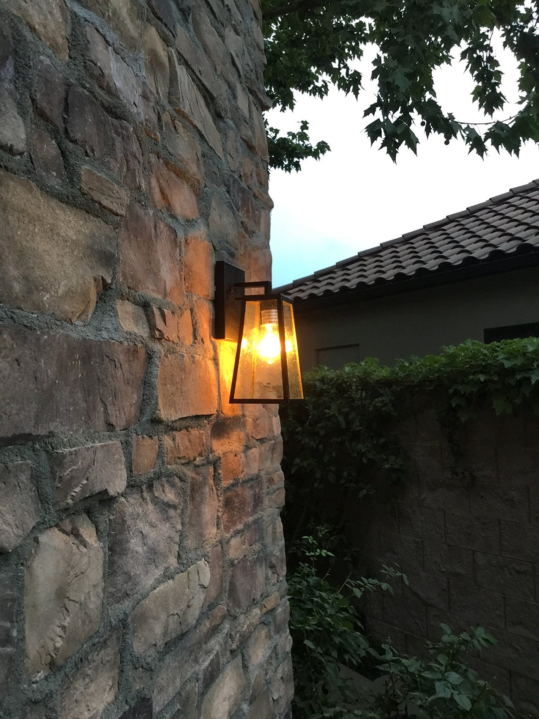 AA Warehousing 1-Light Outdoor Wall Mounted Lighting in Oil Rubbed Bronze Finish - Diamond Home USA