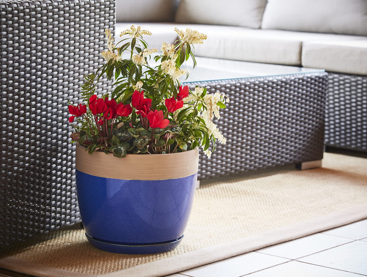 Southern Patio Ana Ceramic Indoor Pot Planter - Diamond Home USA