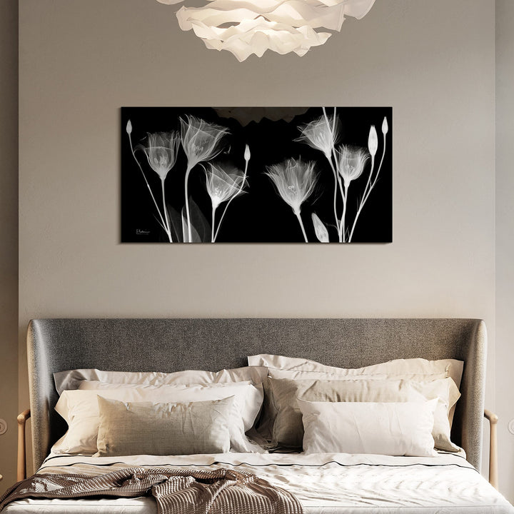 Gentian Xray Frameless Free Floating Tempered Glass Panel Graphic Wall Art Black - Diamond Home USA