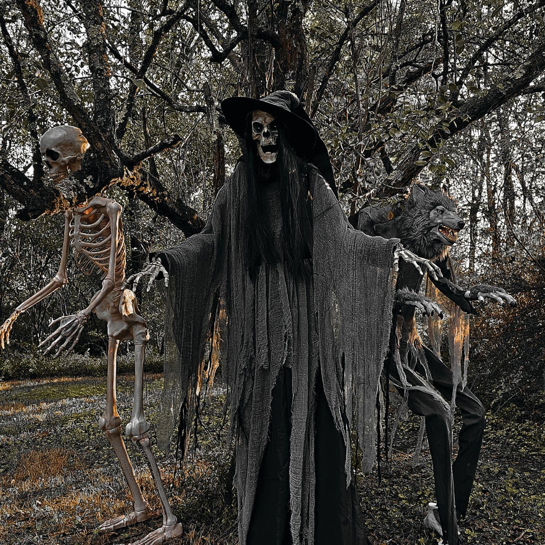 Haunted Hill Farm 7.5-Ft. Tall Macabre Skeleton Witch Motion-Activated Talking - Diamond Home USA