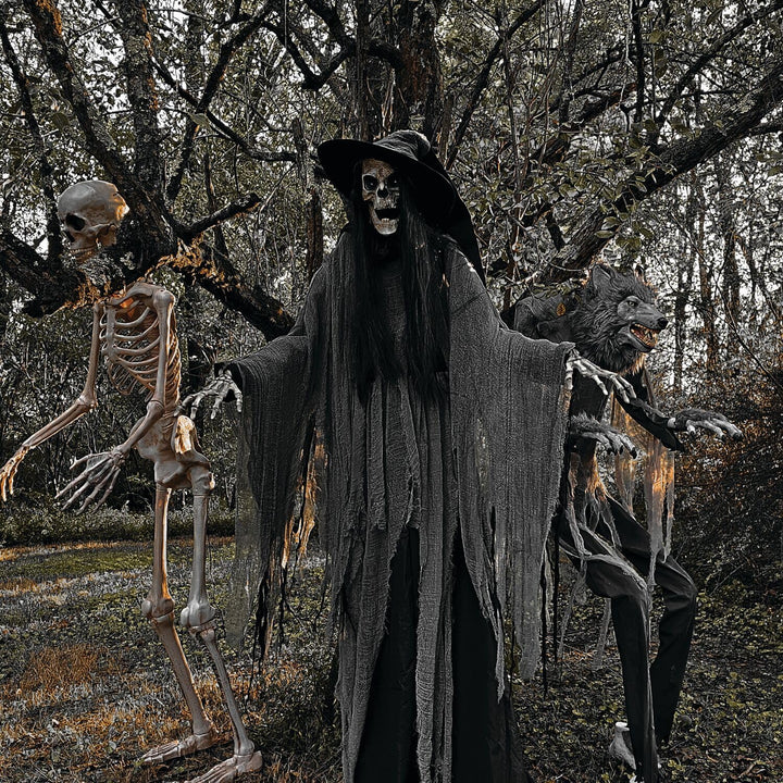Haunted Hill Farm 7.5-Ft. Tall Macabre Skeleton Witch Motion-Activated Talking - Diamond Home USA