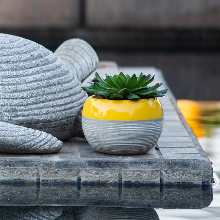 Flora Bunda Artificial Succulent in Two Tone Lines Pattern Ceramic Pot Yellow 4" - Diamond Home USA