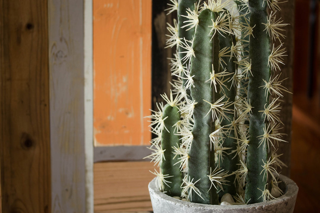 Nearly Natural Decorative Cactus Garden with Cement Planter - Diamond Home USA