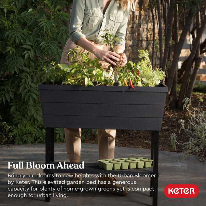 Keter Urban Bloomer 12.7 Gallon Raised Garden Bed with Self Watering Planter Box - Diamond Home USA
