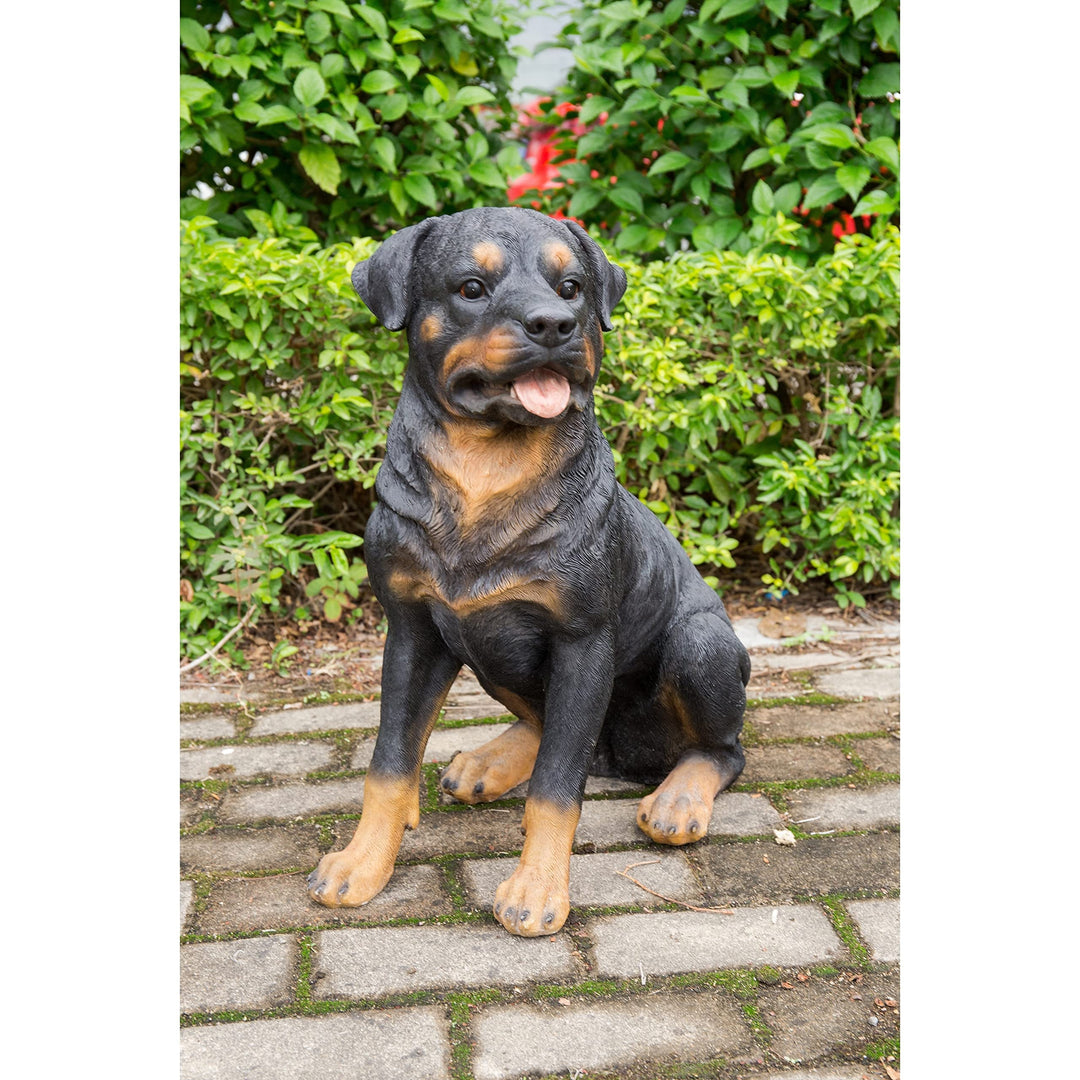Rottweiler Sitting Polyresin