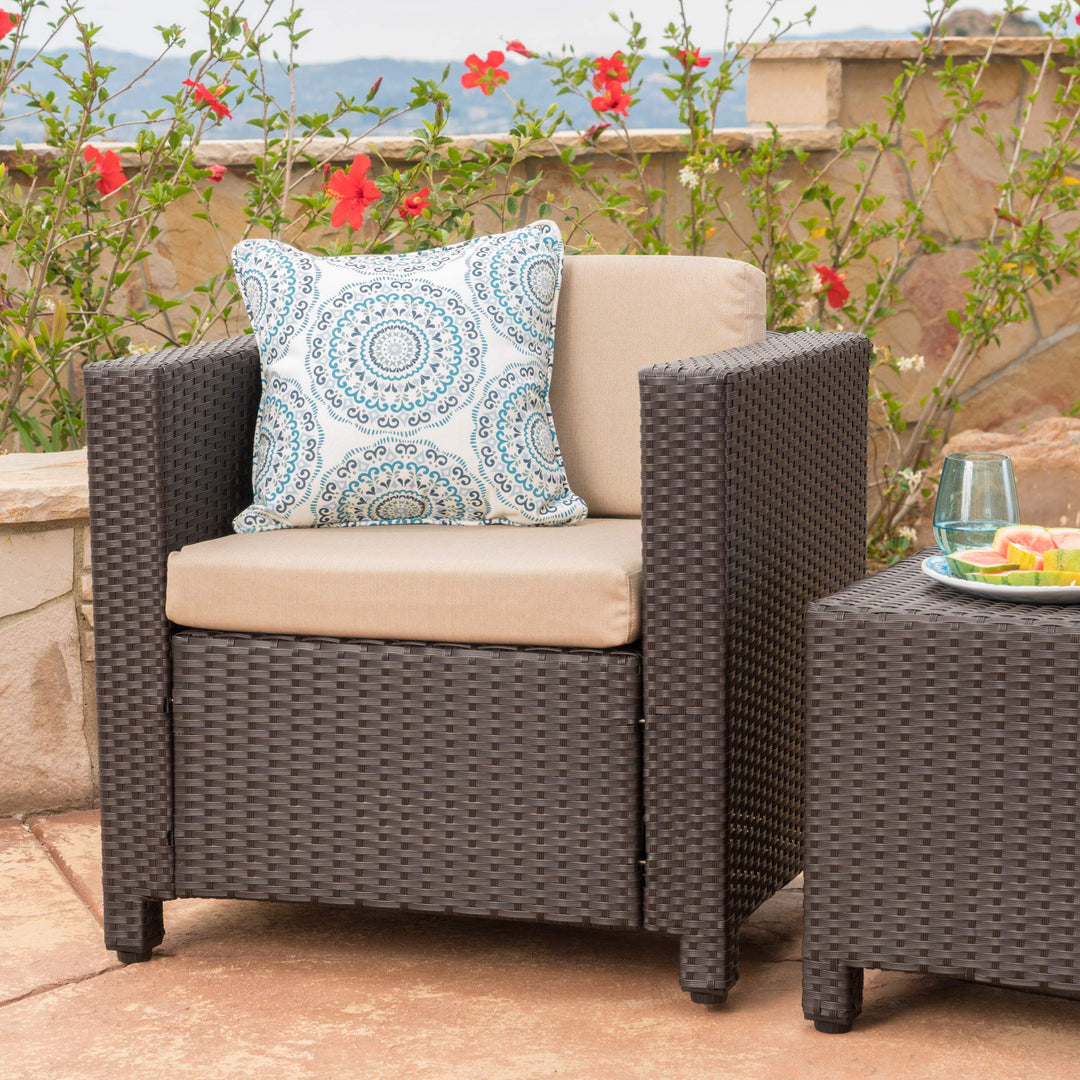 Christopher Knight Home Puerta Outdoor Wicker Club Chair with Water Resistant Dark
