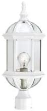 1 Light White 19 inch Post