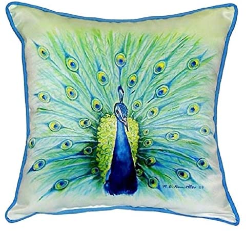 Peacock 22 inch X Throw Pillow Color Bird Casual Polyester