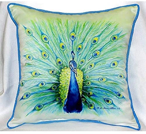Peacock 22 inch X Throw Pillow Color Bird Casual Polyester Single - Diamond Home USA