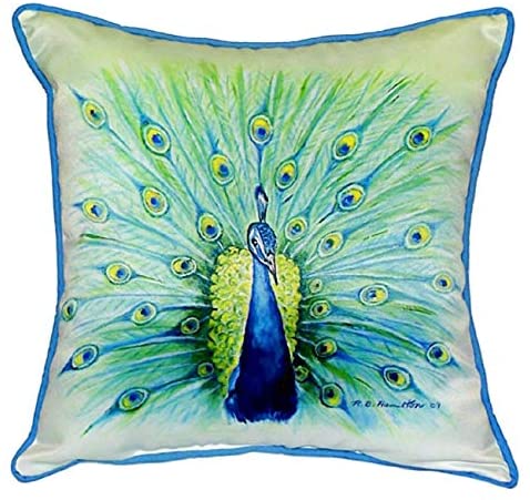 Peacock 22 inch X Throw Pillow Color Bird Casual Polyester Single - Diamond Home USA