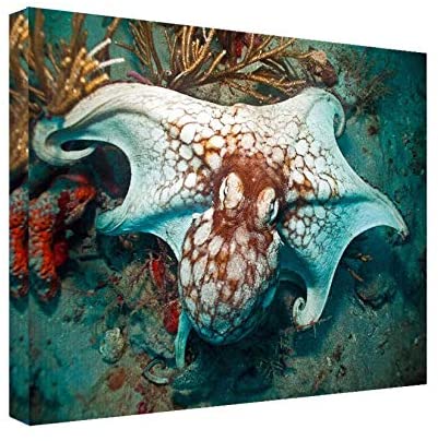 Photographic Canvas Wall Art Blue Orange White Modern Contemporary Nautical Coastal Rectangle Handmade Includes Hardware - Diamond Home USA