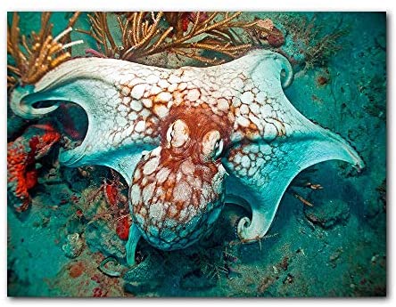 Photographic Canvas Wall Art Blue Orange White Modern Contemporary Nautical Coastal Rectangle Handmade Includes Hardware - Diamond Home USA