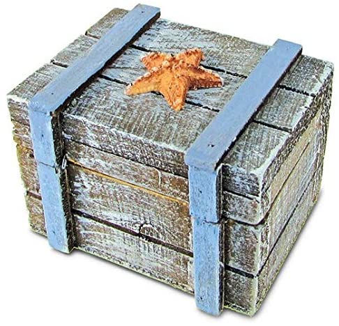 Nautical Decor Multicolor Plastic Pacific Jewelry Box Color Coastal