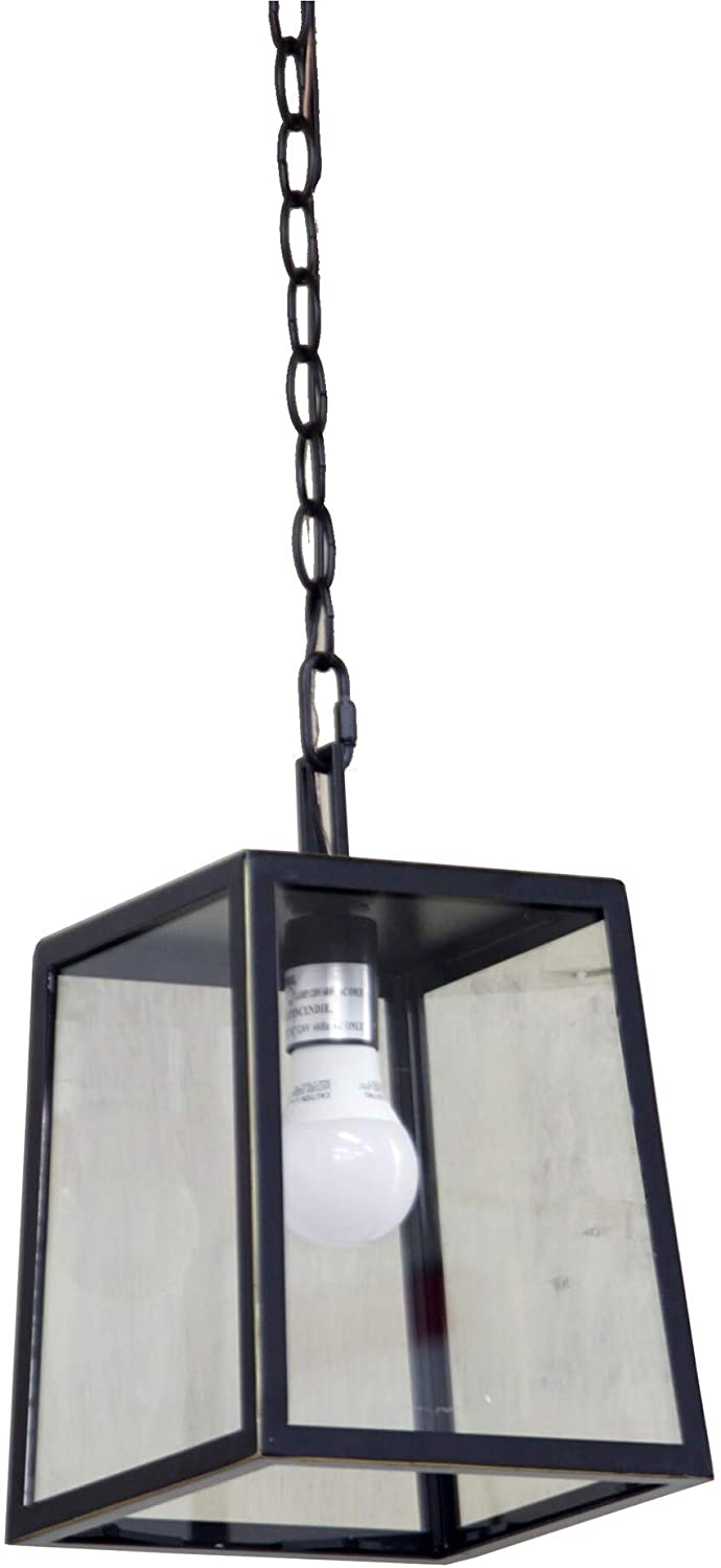 Trey 1 Light Outdoor Hanging Lamp Imperial Black Modern