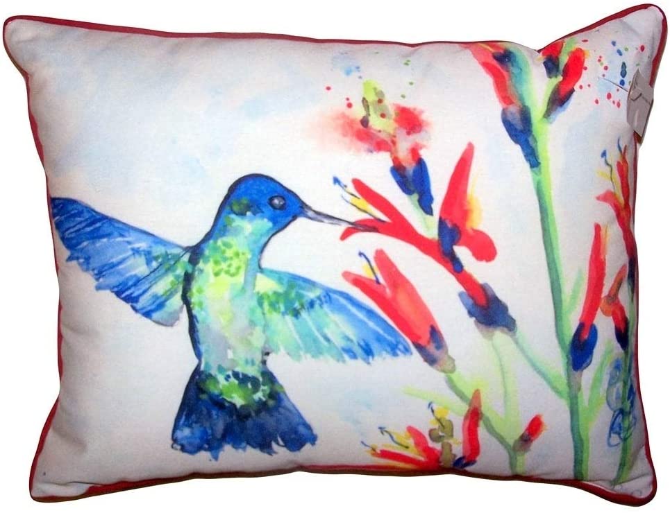 Hummingbird Fire Plant Large Pillow 16x20 Color Graphic
