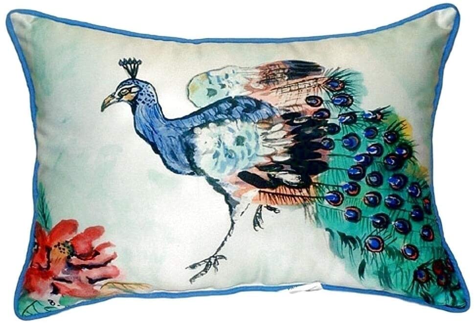 Peacock Small Indoor/Outdoor Throw Pillow Color Modern