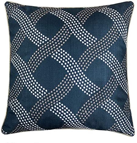 Cozy Dotted Line Embroidery Throw Pillow Cover Insert (Set