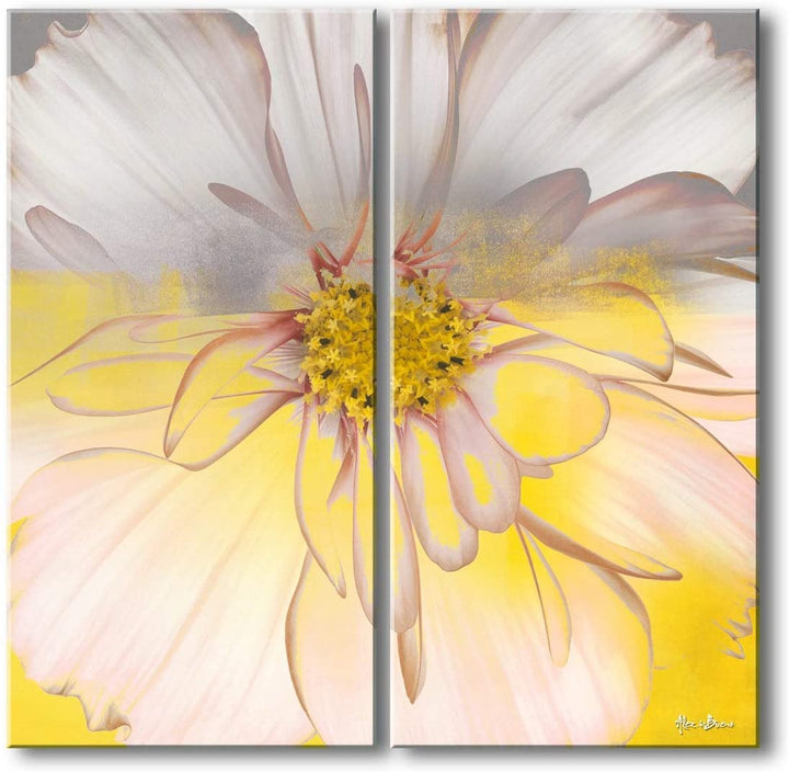 Painted Petals Xxxiv' 2 Piece Canvas Wall Art White Modern Contemporary Specialty Wood - Diamond Home USA