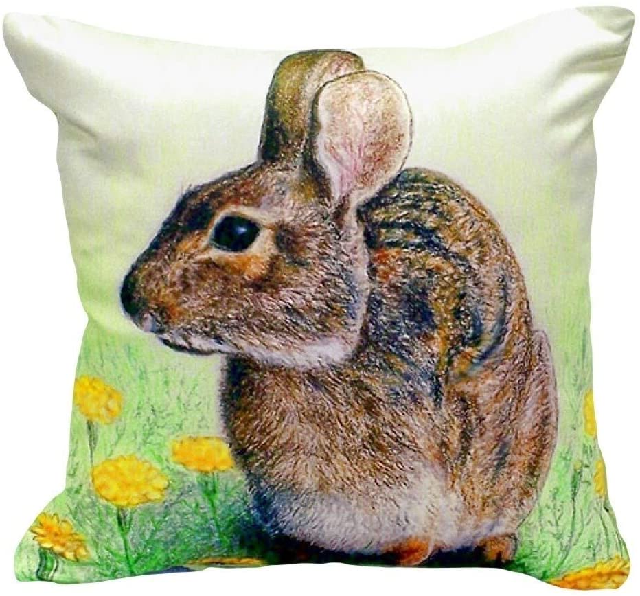 Rabbit Small No Cord Pillow 12x12 Color Graphic Casual