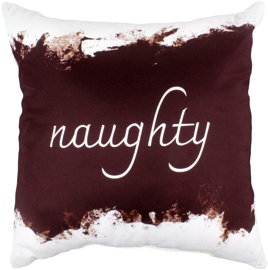 Naughty/Nice Pillow Color Quotes Sayings Transitional