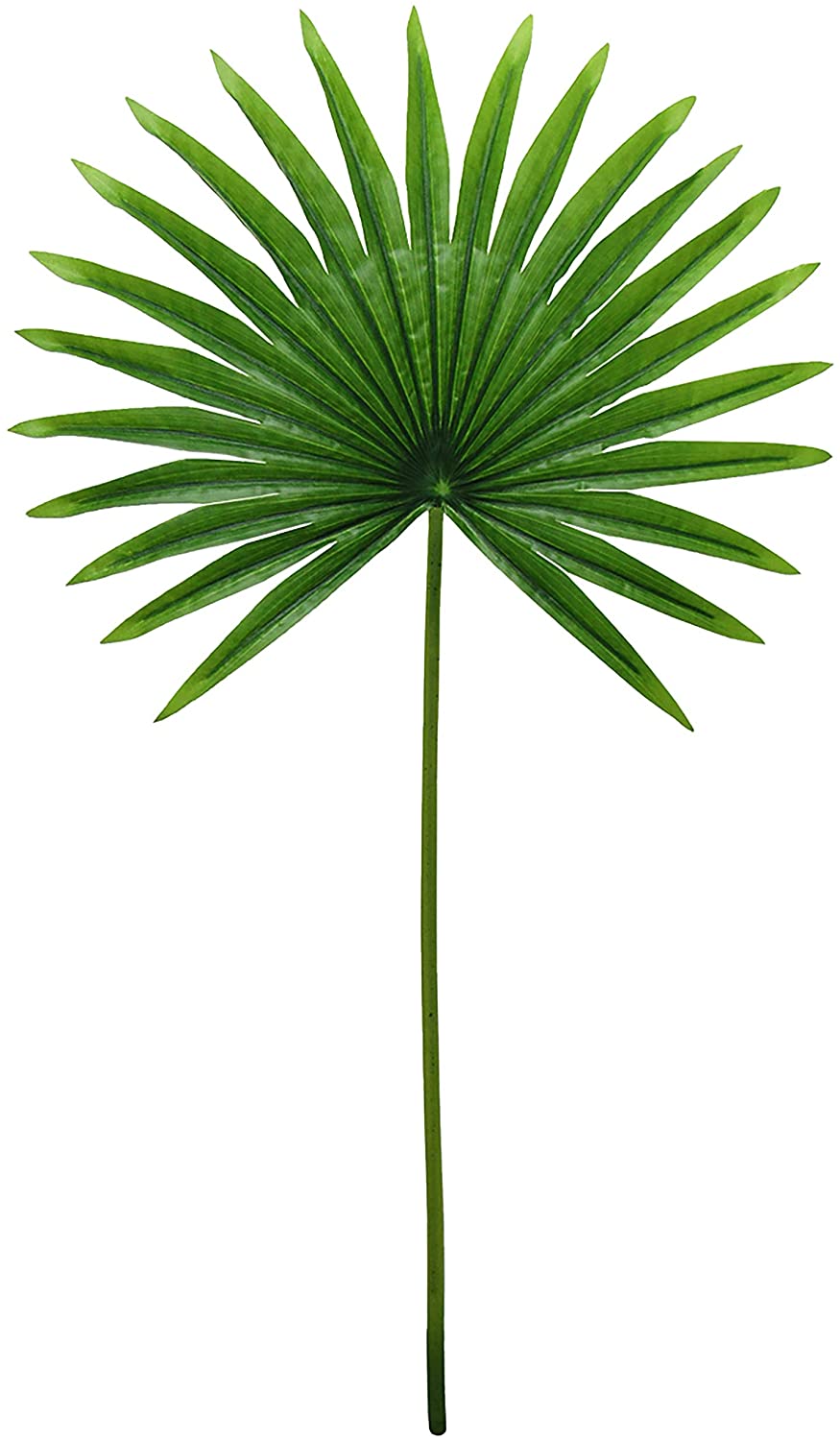 Set 3 Tropical Fan Palm Leaf Stem 32in 32" L X 16" W 0 5" Dp Green - Diamond Home USA