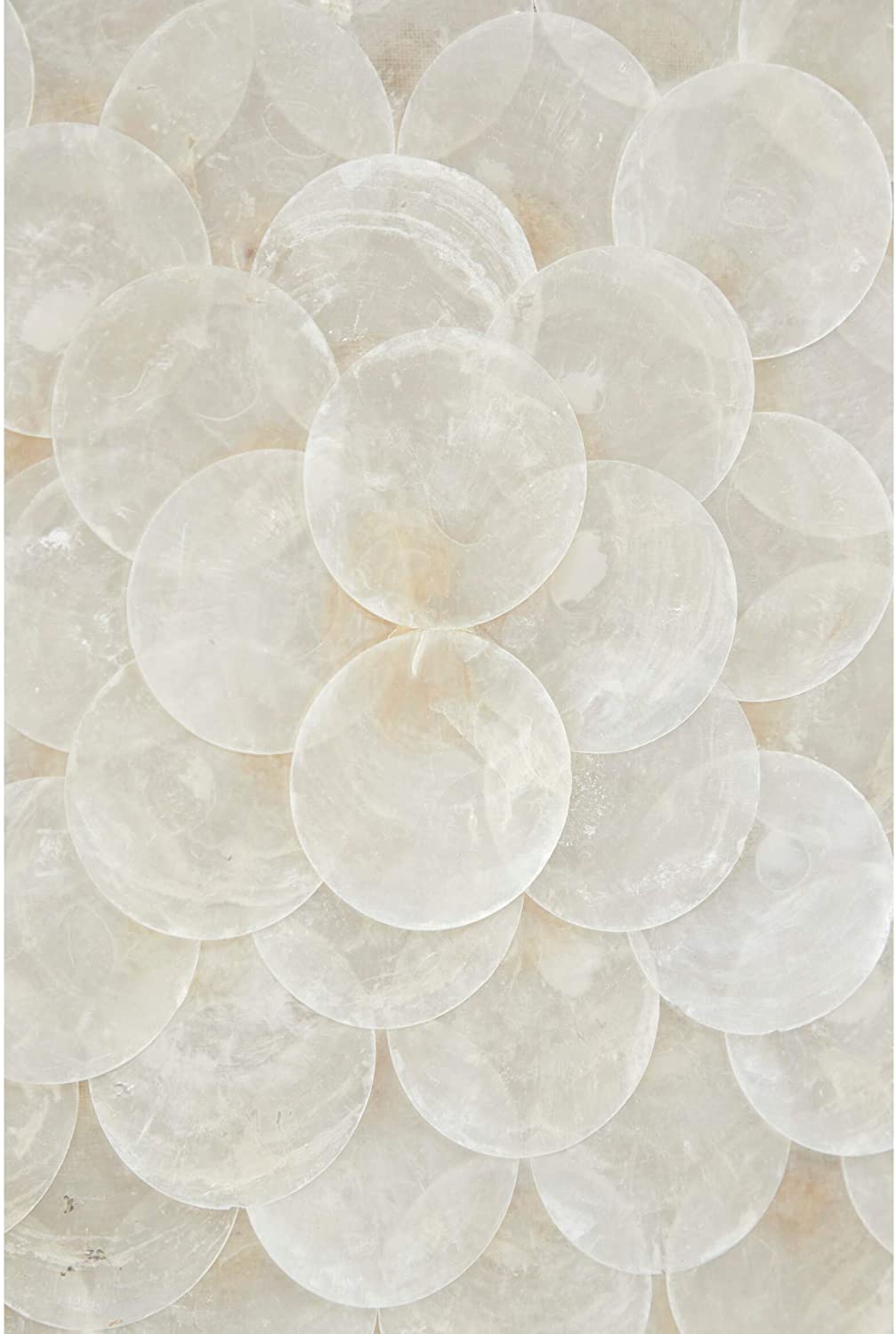 23 5" Square Natural White Shell Shadow Boxes Coastal Wall Art Set 2 24 X 1 Brown Nautical Wool - Diamond Home USA