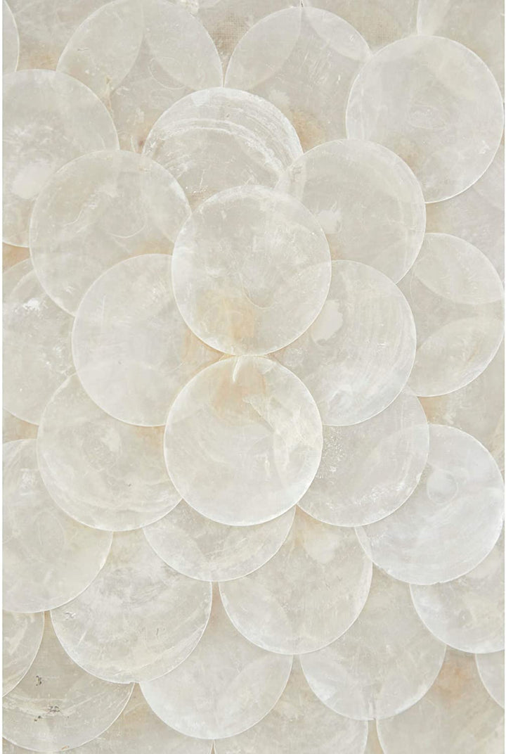 23 5" Square Natural White Shell Shadow Boxes Coastal Wall Art Set 2 24 X 1 Brown Nautical Wool - Diamond Home USA