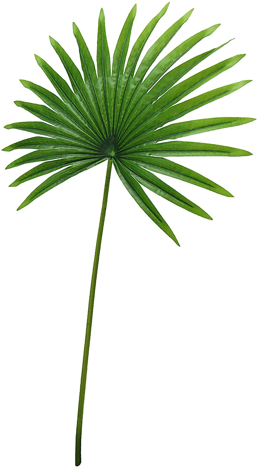 Set 3 Tropical Fan Palm Leaf Stem 32in 32" L X 16" W 0 5" Dp