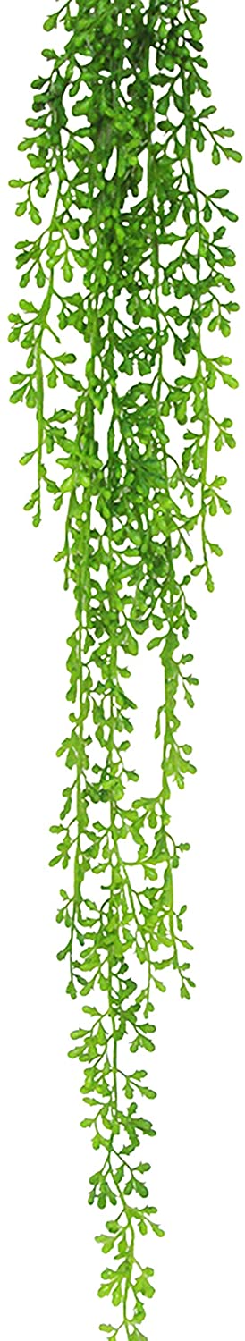 Donkey Tail String Pearls Succulent Hanging Greenery Spray 40in 40" L X 8" W 4" Dp Green - Diamond Home USA