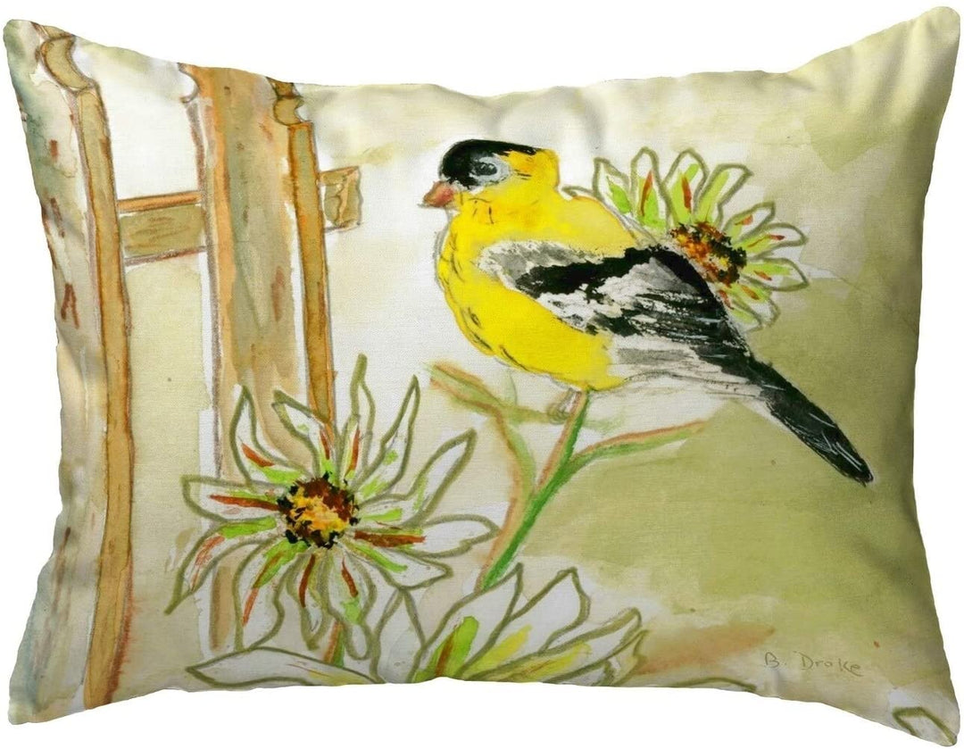 Small No Cord Pillow 11x14 Color Graphic Casual