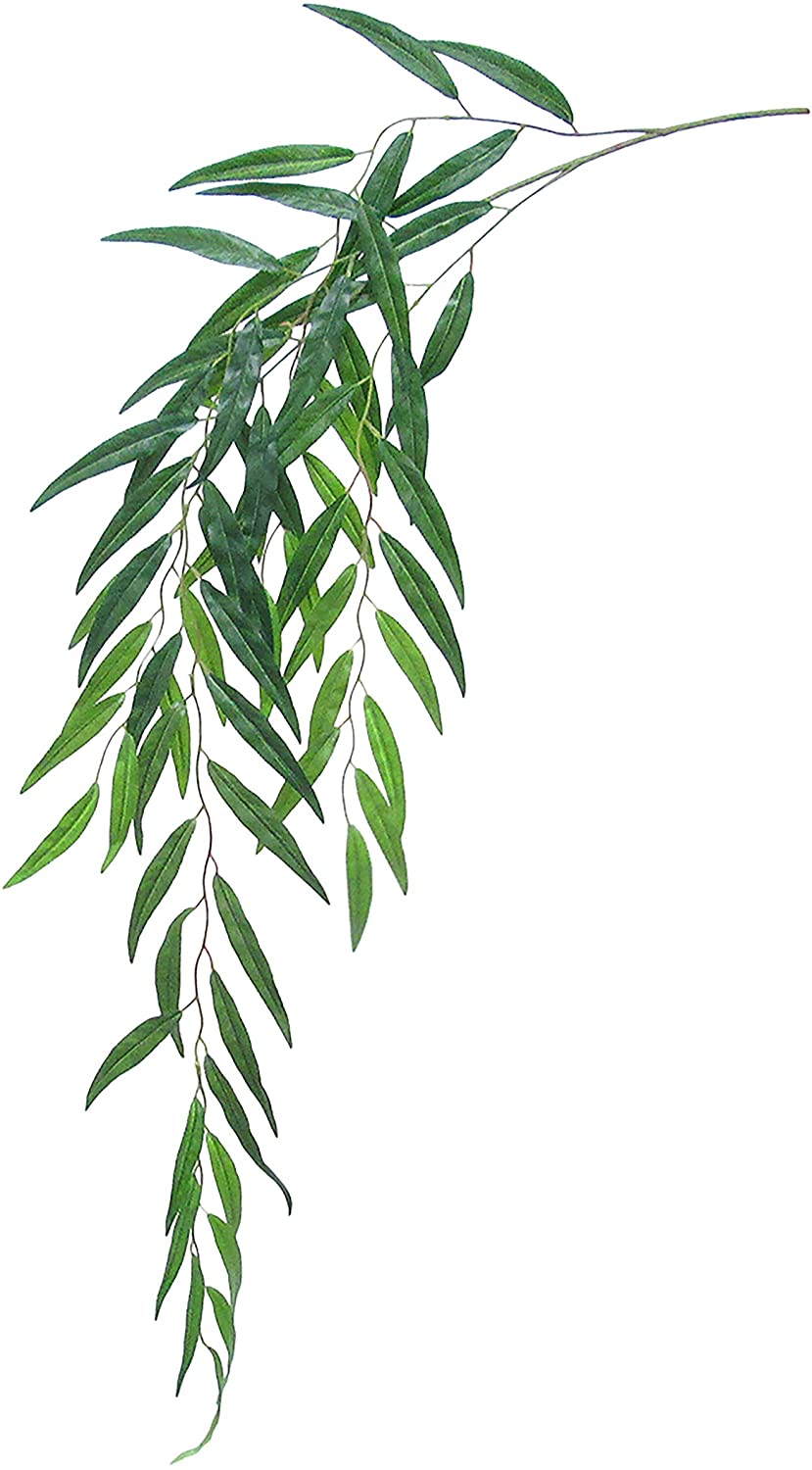 et 6 Weeping Willow Eucalyptus Leaf tem Hanging Greenery