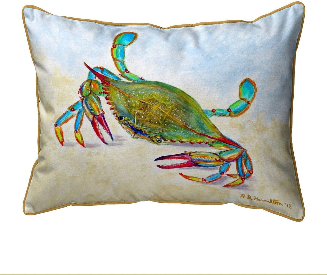 More Than Blue Extra Large Zippered Pillow 20x24 Color