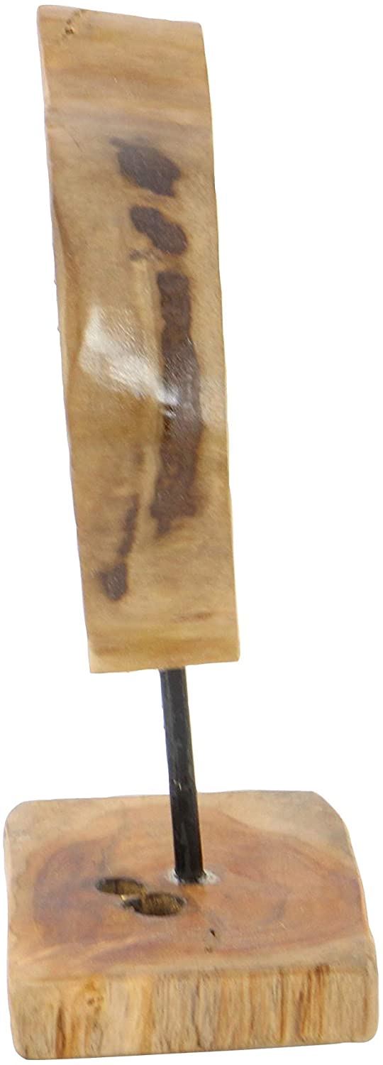 Teak Metal Resin Sculpture Brown Clear Acrylic Iron Wood - Diamond Home USA