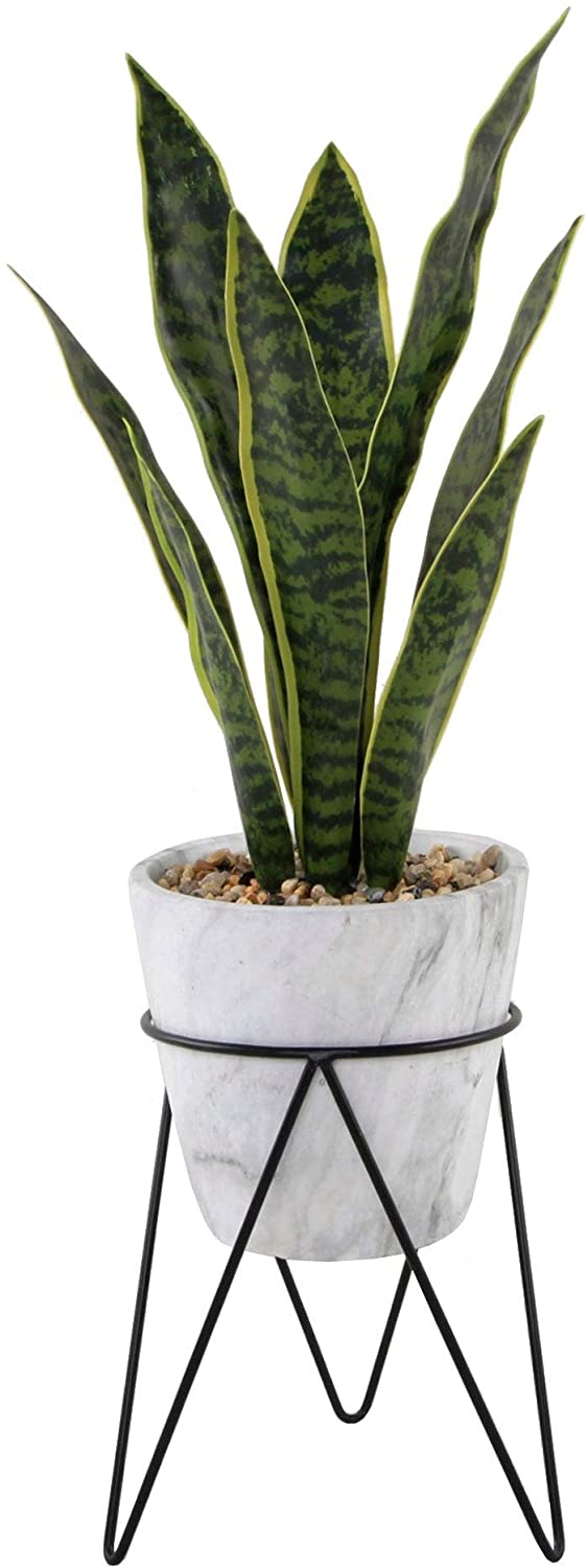 1 75ft Snake Plant Marble Metal Stand One Size Handmade