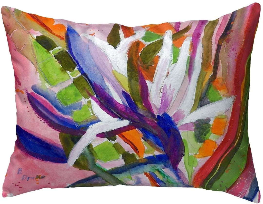 Bird Paradise Small No Cord Pillow 11x14 Color Graphic