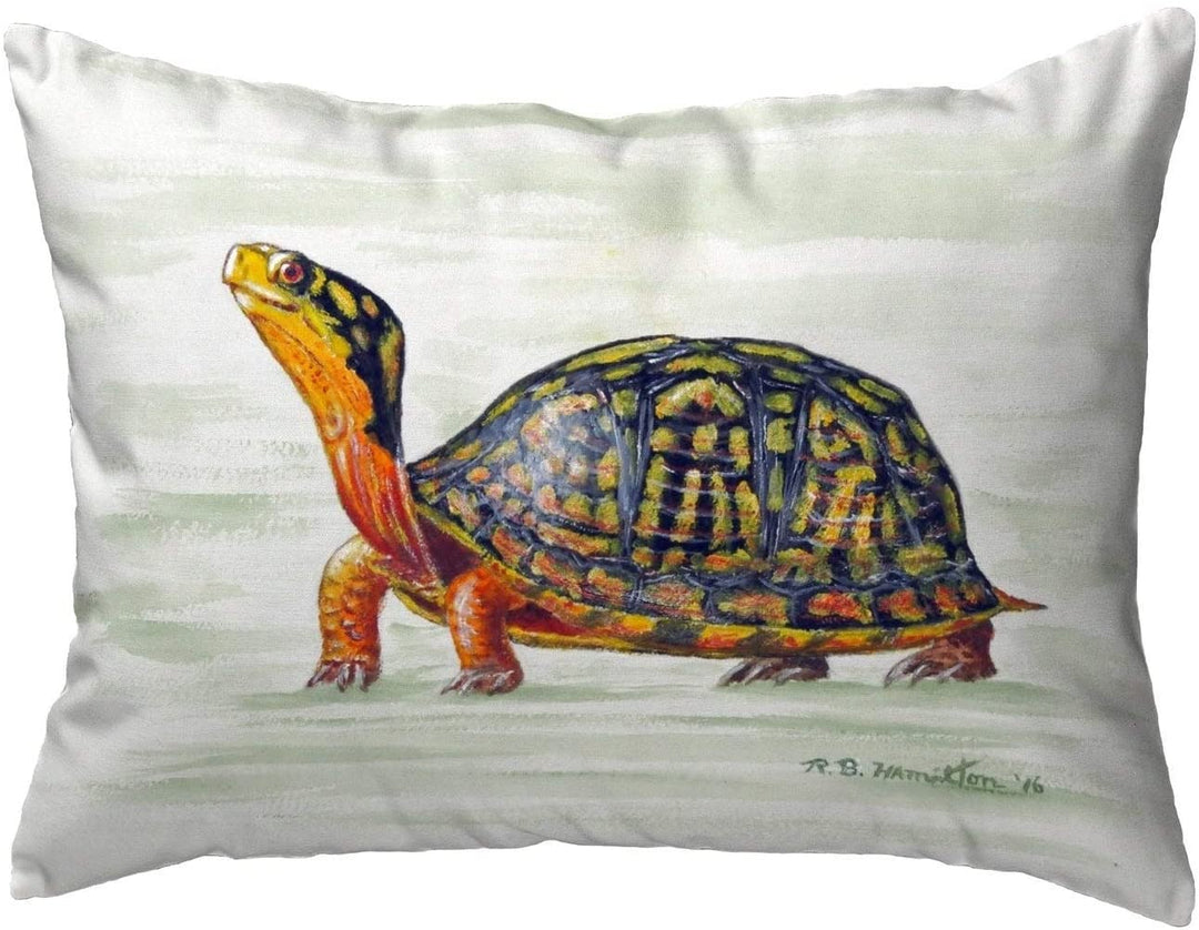 Happy Turtle Small No Cord Pillow 11x14 Color Graphic Casual
