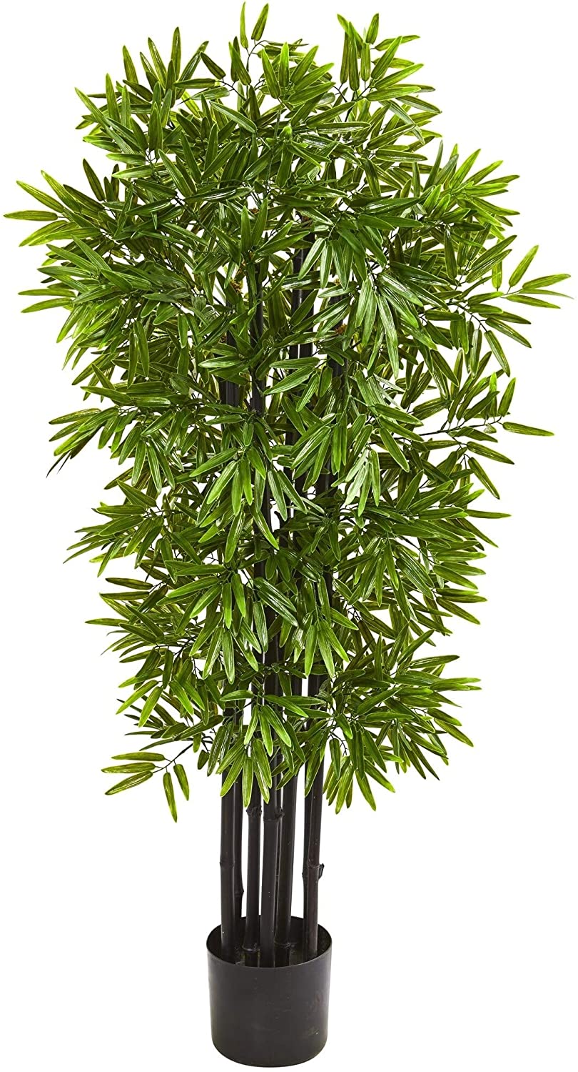 Mfu Tree 51
