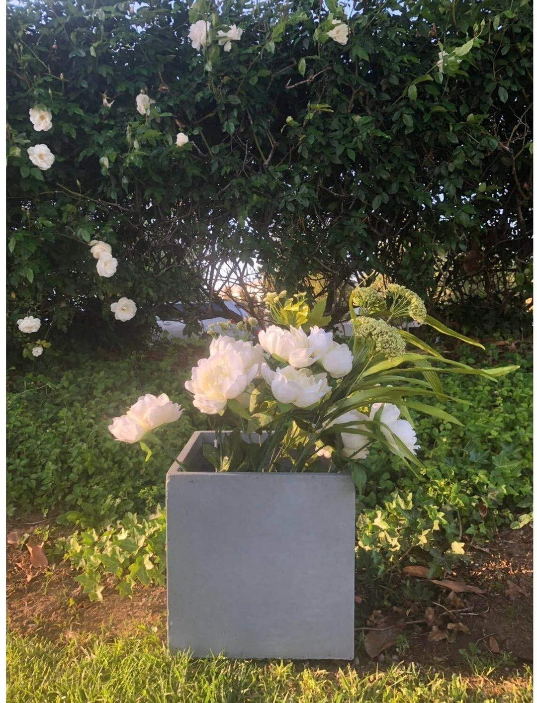 Lightweight Concrete Modern Square Cement Color Planter