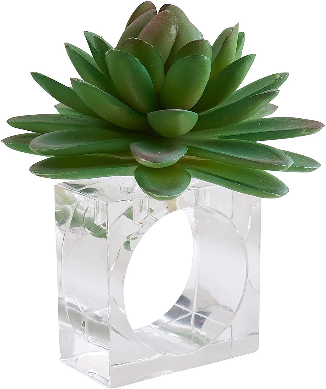 MISC Succulent Design Napkin Ring Holders (Set 4) Green Acrylic Plastic