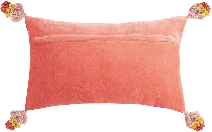 Dream Tassels Embroidered Pillow Color Motif Modern Contemporary Cotton Single Removable Cover