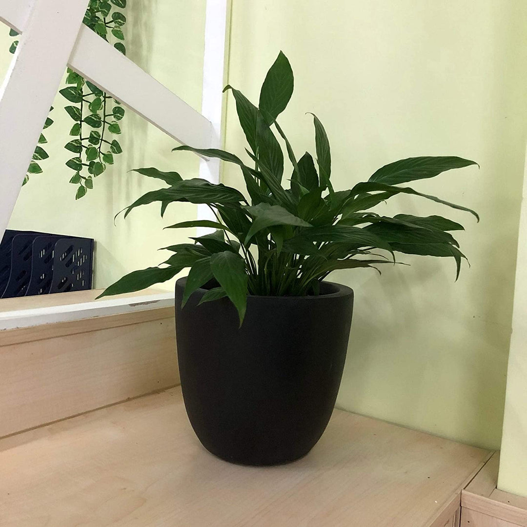 Lightweight Concrete Modern Seamless Round Cement Color