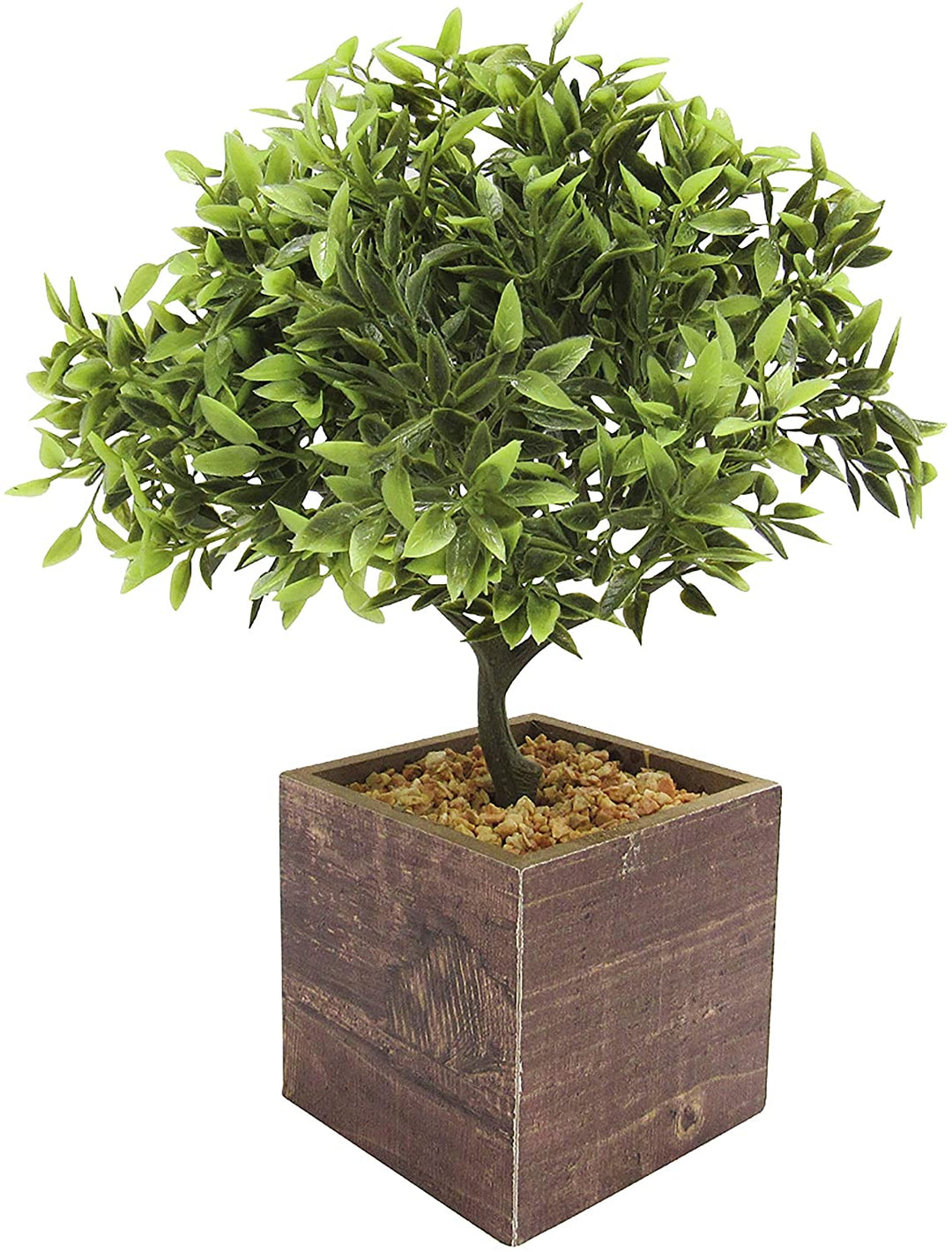 Leaf Tree Square Wood Pot 11in 11" H X 7 5" W Dp