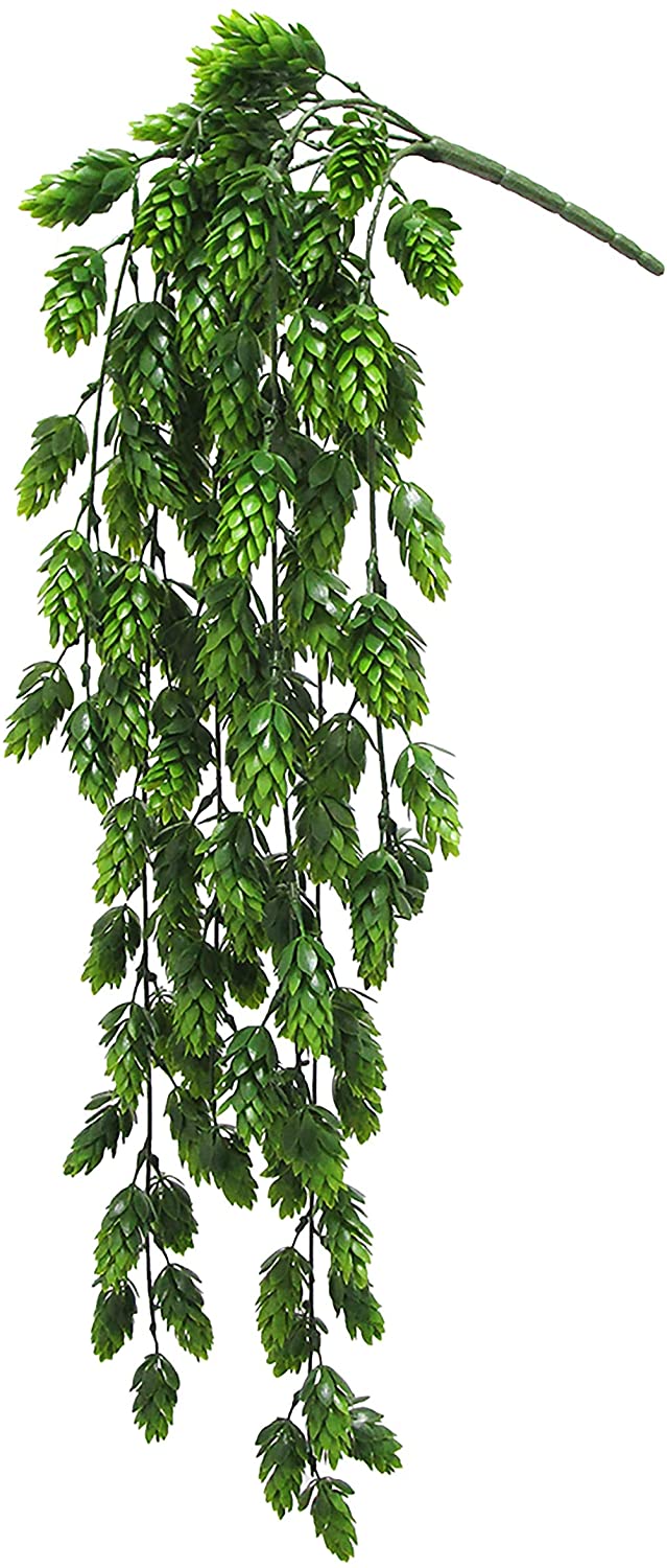 Set 2 Pine Hops Plant Leaf Stems Hanging Greenery Bush