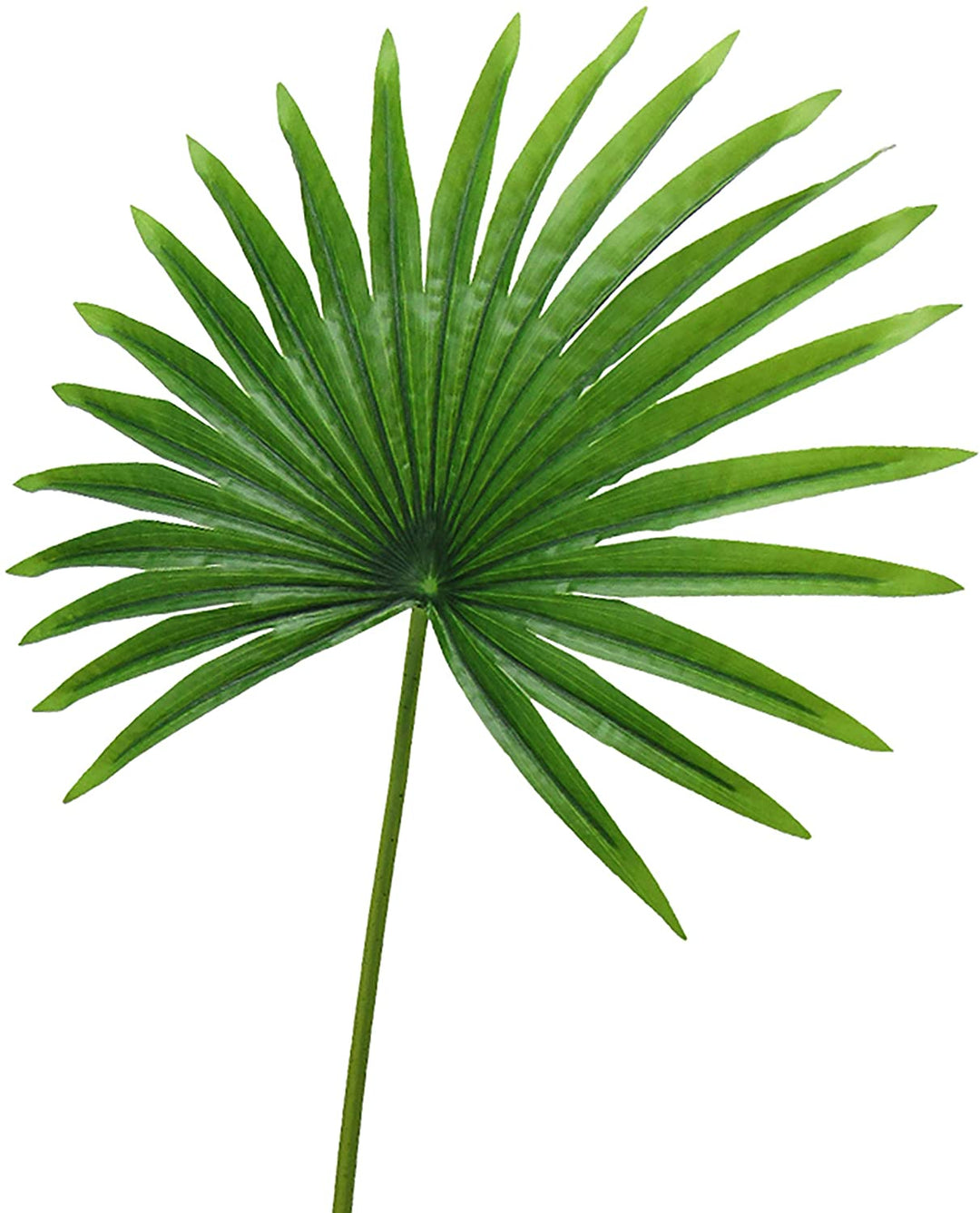 Set 3 Tropical Fan Palm Leaf Stem 32in 32" L X 16" W 0 5" Dp Green - Diamond Home USA