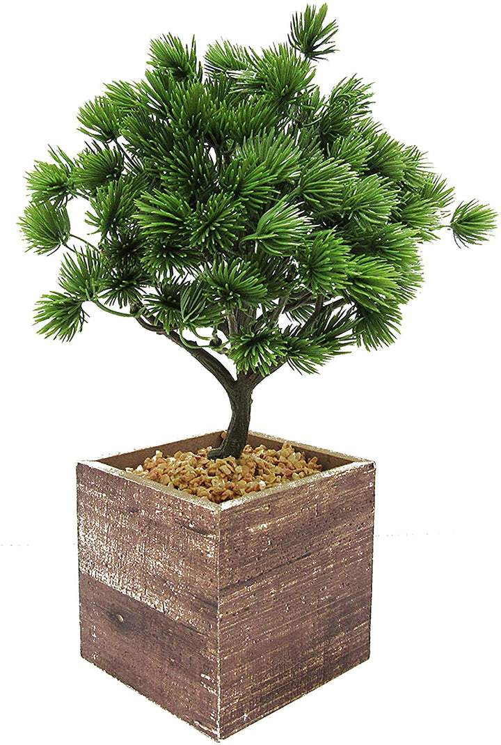 Pine Tree Square Wood Pot 10 5in 10 5" H X 7" W Dp
