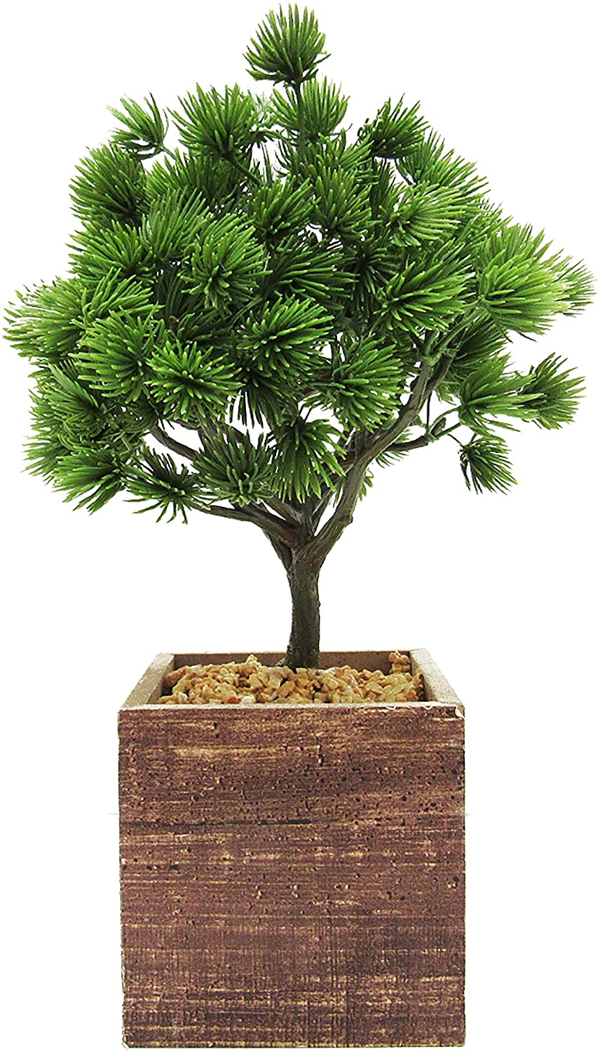 Pine Tree Square Wood Pot 10 5in 10 5" H X 7" W Dp Green - Diamond Home USA