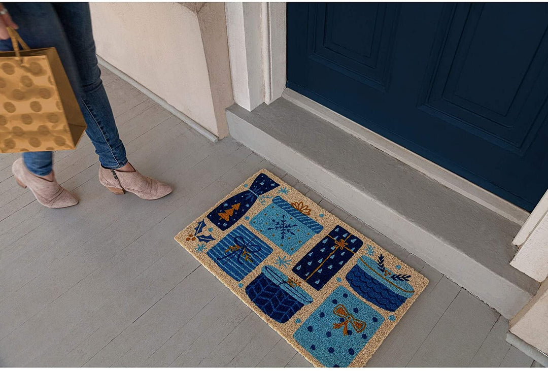 Coir Doormat Blue Transitional Rectangle All