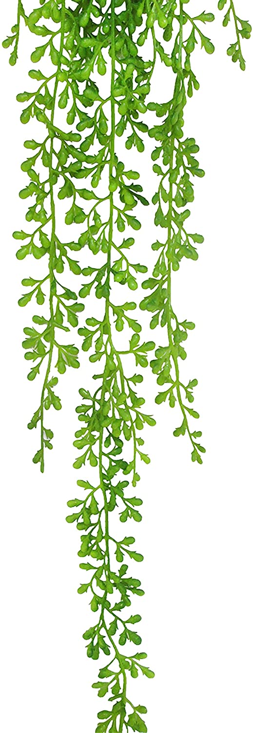 Donkey Tail String Pearls Succulent Hanging Greenery Spray 40in 40" L X 8" W 4" Dp Green - Diamond Home USA